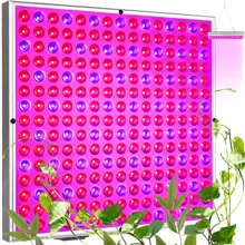225 LED lamp/panel for growing plants. 23525