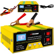 Battery charger 12V/24V