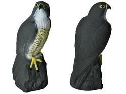 Bird repellent - falcon