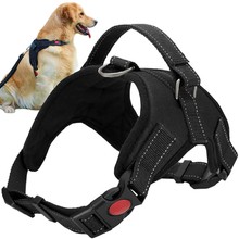 Pressure-free harness for dogs M