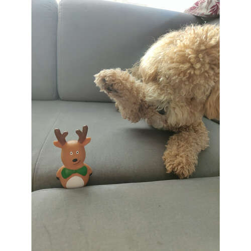 Cadeau de Noël pour un chien - Jouets Purlov 22637