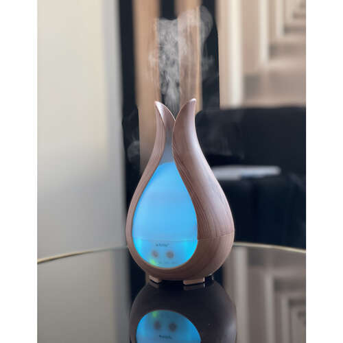 Diffuseur d&#39;arômes - humidificateur 200ml Ruhhy 24610