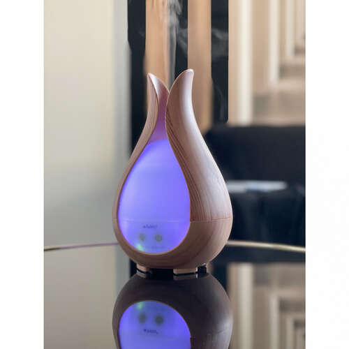 Diffuseur d'arômes - humidificateur 200ml Ruhhy 24610