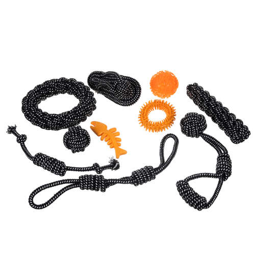 Ensemble de jouets pour chiens-10 pièces Purlov 24388