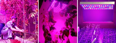 Lampe/panneau 225 LED pour la croissance des plantes