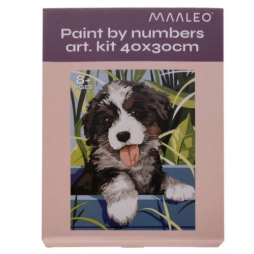 Peinture par numéros 40x30cm - Chien Maaleo 22780