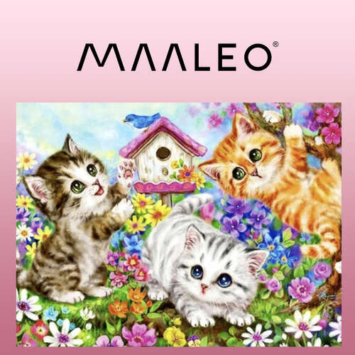 Peinture par numéros 40x50cm - Chats Maaleo 22781