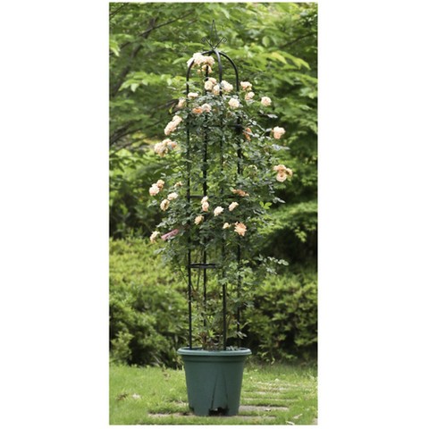 Pergola colonne de jardin Gardlov 21029