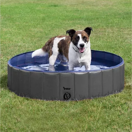 Piscine pliante/parc pour chien 120x30 Purlov 23831