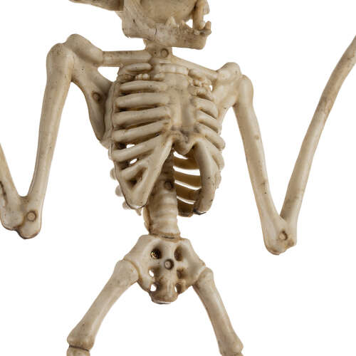 Squelette de chauve-souris - décoration 30cm Malatec 22005