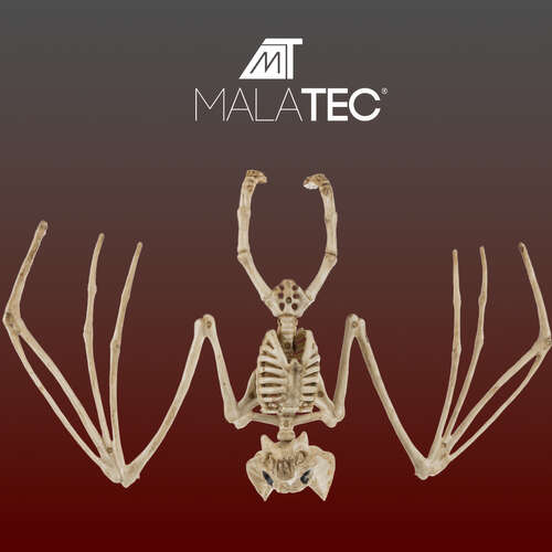 Squelette de chauve-souris - décoration 30cm Malatec 22005