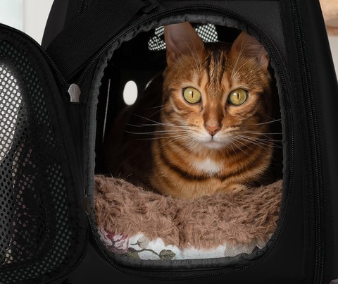 Transporter - sac pour chien/chat - noir