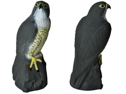 Vogelabwehrmittel - Falke