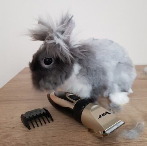 Dog clipper - set Purlov 24089