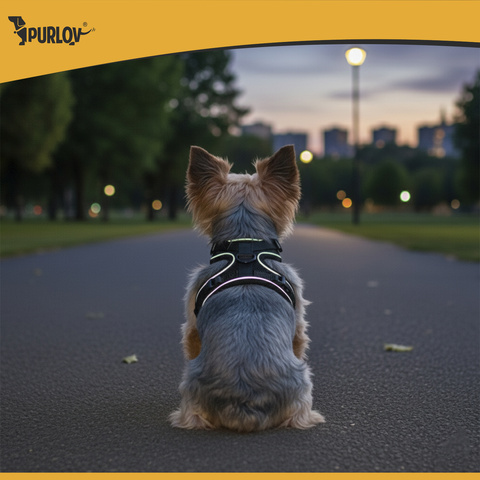 Harnais sans pression pour animaux S Purlov 26868