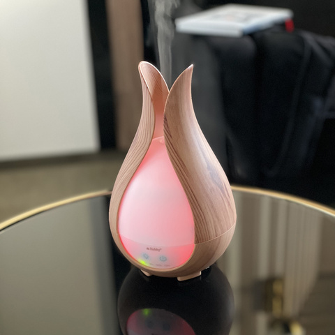 Aroma diffuser - humidifier 200ml Ruhhy 24610