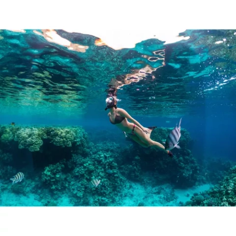 Full face snorkeling mask L/XL part 23462