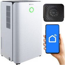 Ruhhy 26497 Air Dehumidifier