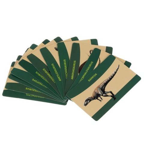 Dinosaurier-Ei – Ausgrabung 24981