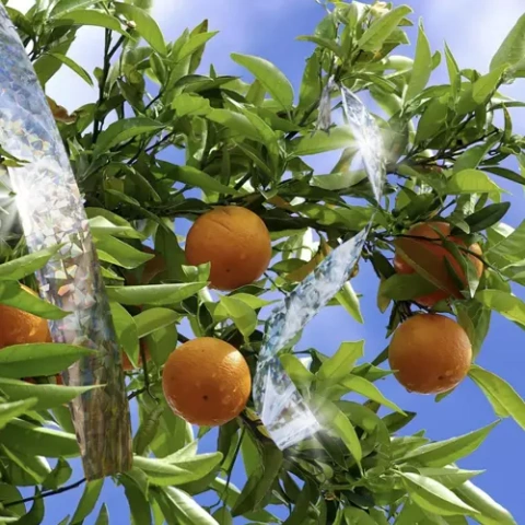 Vogelabwehr – 50 m Band Repest 21042