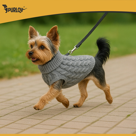 Vêtements pour chien/chat taille M gris Purlov 26217