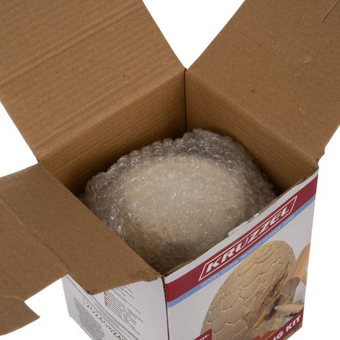 Dinosaurier-Ei – Ausgrabung 24981