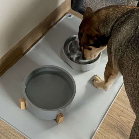 Silicone bowl pad Purlov 24295