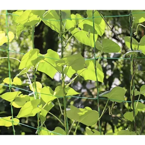 Mesh - plant support 2x10m Gardlov 23978