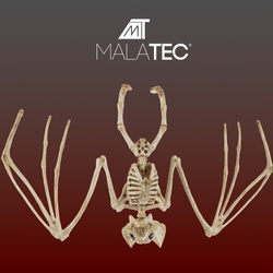 Bat skeleton - decoration 30cm Malatec 22005