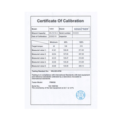 Klucz dynamometryczny 17/18/21mm Bigstren 19964