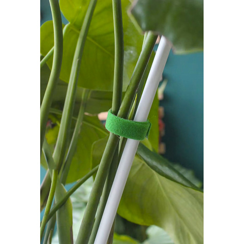 Klett-Gartenband 5m Gardlov 25362