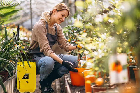 5L slėginis purkštuvas - purkštukų komplektas