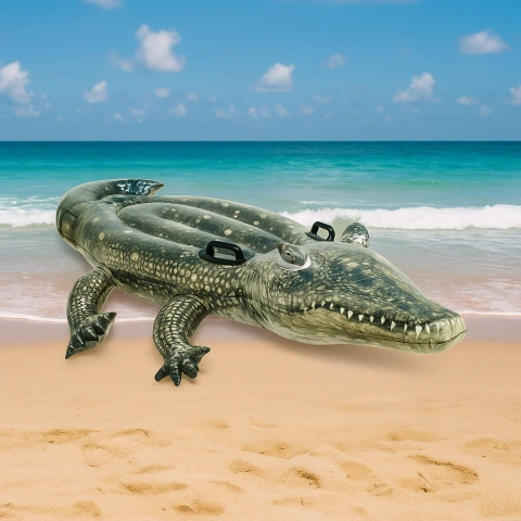 INTEX 57551 air mattress