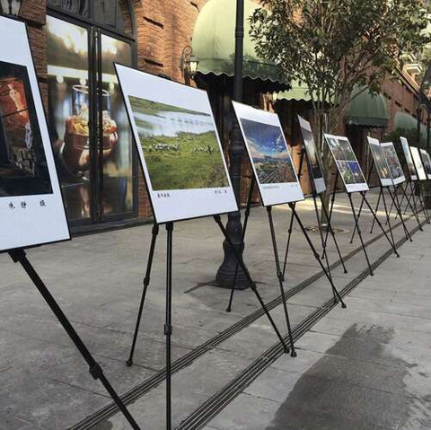 Painter's easel 23669