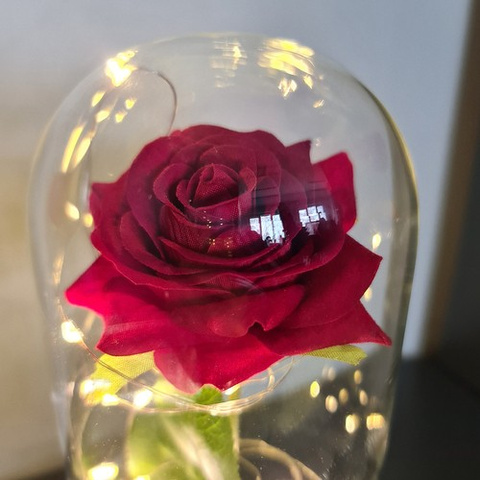 Rose in glass - luminous Malatec 21619
