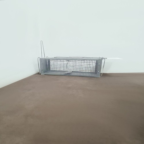 Repest 19051 live trap/rodent trap