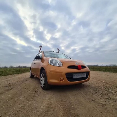 Reindeer antlers for car Xtrobb 20223