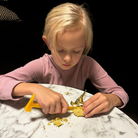 Dinosaurier-Mine – Kruzzel Excavations 24982