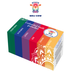 Holi Farbpulver - 6er Set x 100g