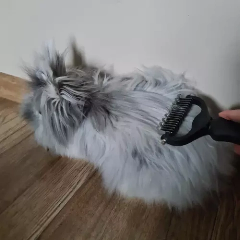 Purlov 20427 trimmer/comb