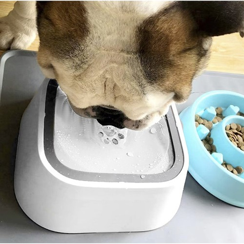 Water bowls - set of 2 Purlov 24342