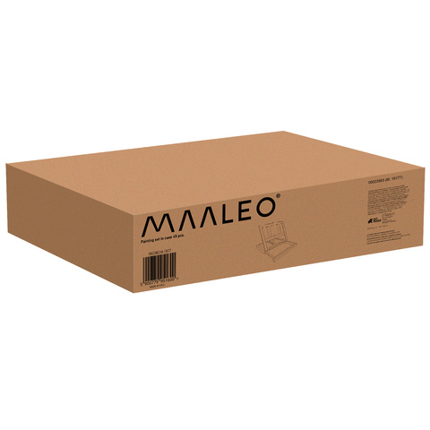 Painting set in a case 45 pcs Maaleo 23863