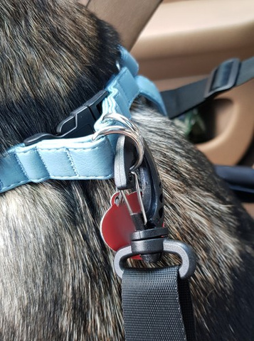 Dog Carrier for Seat Purlov 20973