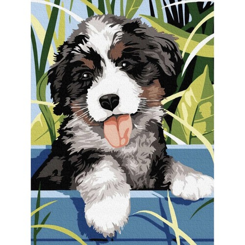 Painting by numbers 40x30cm - dog Maaleo 22780