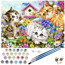 Peinture par numéros 40x50cm - Chats Maaleo 22781