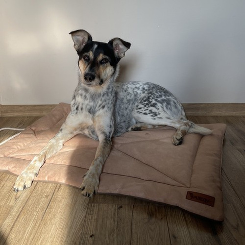 Purlov 24594 Hundebett