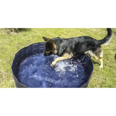 Piscine pliante/parc pour chien 120x30 Purlov 23831