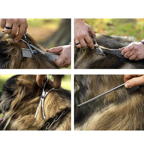 Ciseaux de coupe de cheveux pour chiens Purlov 23186