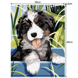 Malen nach Zahlen 40x30cm - Maaleo Hund 22780