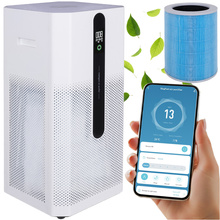 Purificateur d'air Ioniqs Ruhhy 26816